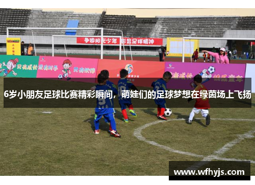 6岁小朋友足球比赛精彩瞬间，萌娃们的足球梦想在绿茵场上飞扬